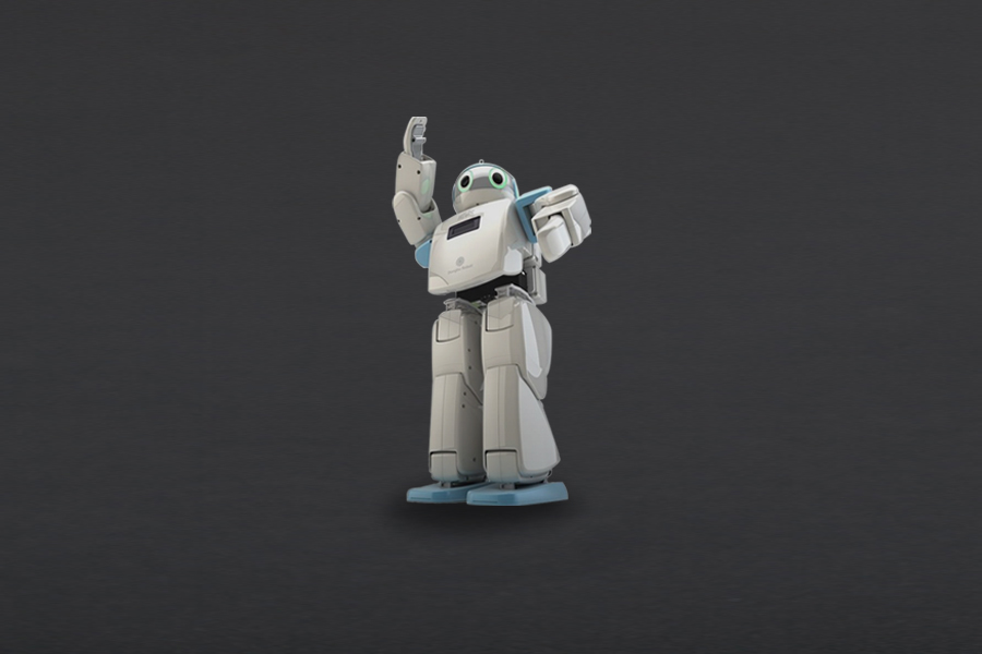 DFROBOT HOVIS Eco Plus - 20 DOF Humanoid Robot [ROB0110]
